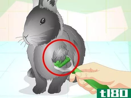 Image titled Trim Your Rabbit's Nails Step 12