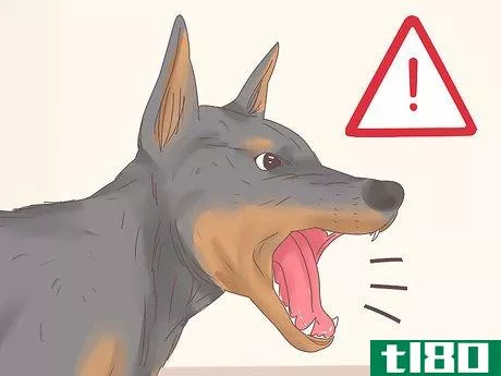 Image titled Understand Your Dog's Body Language Step 15