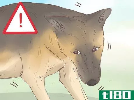 Image titled Understand Your Dog's Body Language Step 10