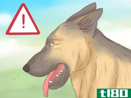 Image titled Understand Your Dog's Body Language Step 6