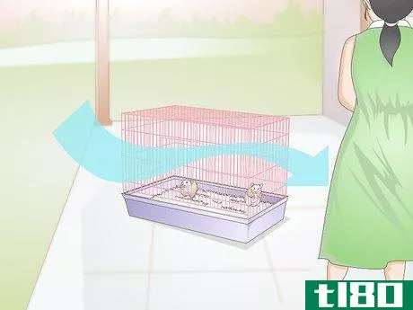 Image titled Treat Skin Disease in Hamsters Step 9