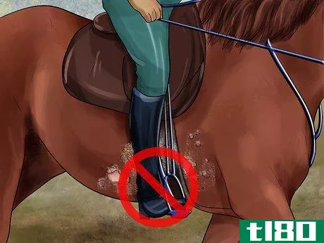 Image titled Treat Skin Disorders in Horses Step 4
