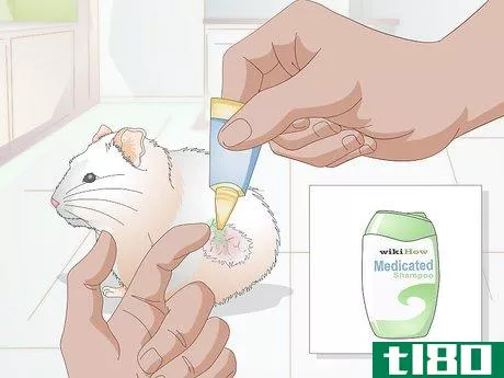 Image titled Treat Skin Disease in Hamsters Step 3