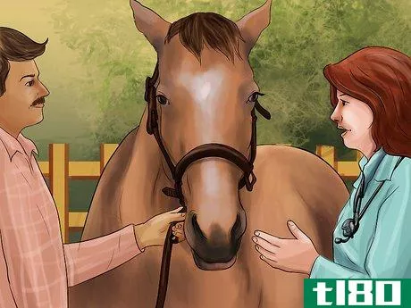 Image titled Treat Skin Disorders in Horses Step 13