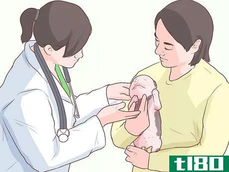 Image titled Treat Newborn Puppies with Edema (Water Puppies) Step 5