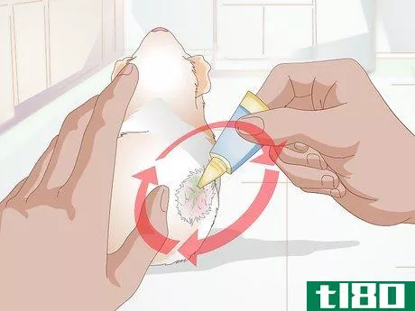 Image titled Treat Skin Disease in Hamsters Step 4