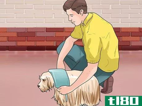 Image titled Treat Neck Pain in Dogs Step 22