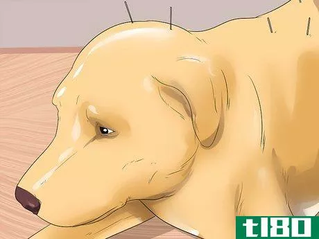 Image titled Treat Neck Pain in Dogs Step 17