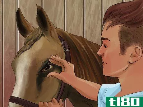 Image titled Treat Skin Disorders in Horses Step 12