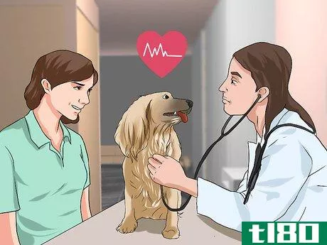 Image titled Treat Canine Cancer Step 1