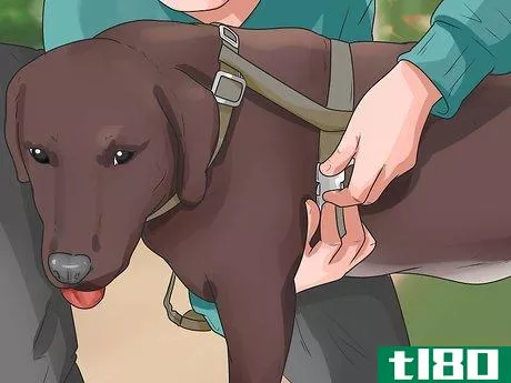 Image titled Treat Neck Pain in Dogs Step 16