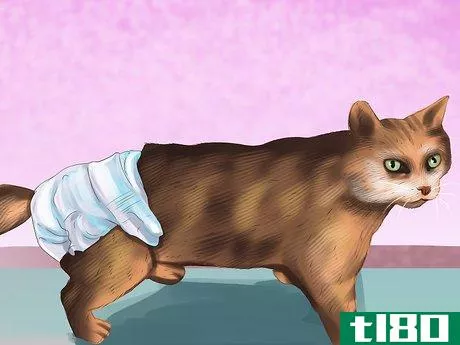 Image titled Treat Urinary Incontinence in Cats Step 7