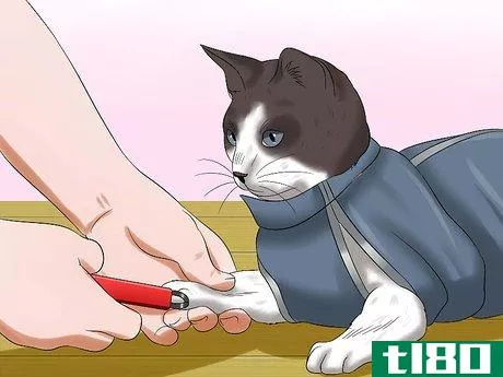 Image titled Use a Cat Comfort Bag Step 6