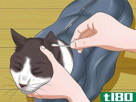 Image titled Use a Cat Comfort Bag Step 8