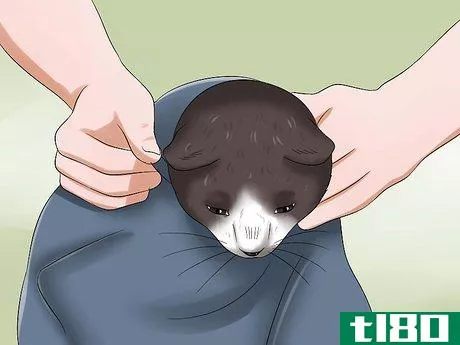 Image titled Use a Cat Comfort Bag Step 3
