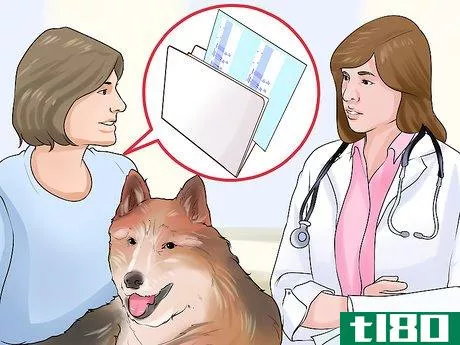 Image titled Test Dog DNA and Analyze Parentage Step 4