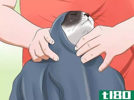 Image titled Use a Cat Comfort Bag Step 2