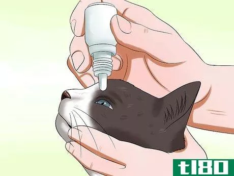 Image titled Use a Cat Comfort Bag Step 7