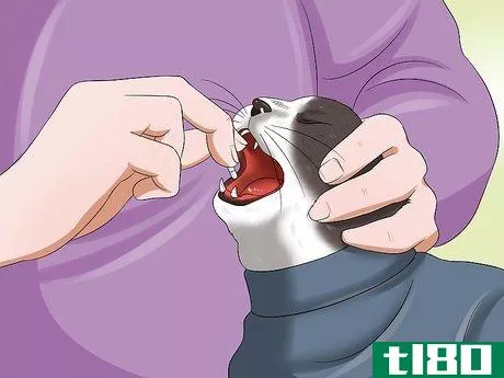 Image titled Use a Cat Comfort Bag Step 9