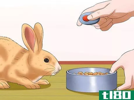 Image titled Teach Your Rabbit to Go Back to His Hutch Step 6