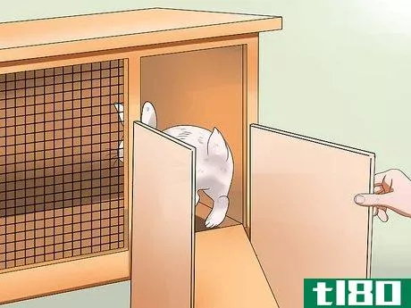 Image titled Teach Your Rabbit to Go Back to His Hutch Step 3