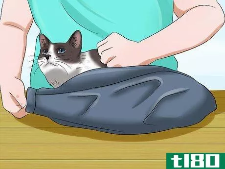 Image titled Use a Cat Comfort Bag Step 5