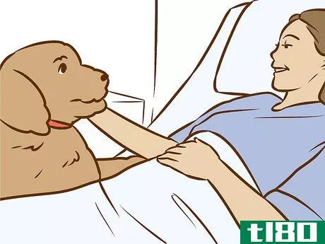 Image titled Use a Pet to Help You Cope with Chronic Pain Step 11