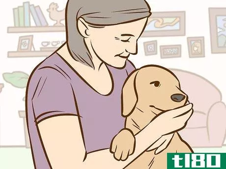Image titled Use a Pet to Help You Cope with Chronic Pain Step 3