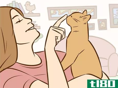 Image titled Use a Pet to Help You Cope with Chronic Pain Step 5