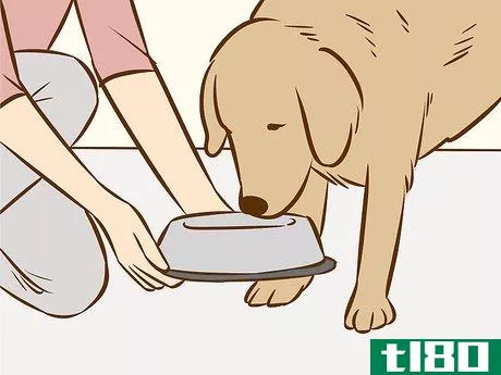 Image titled Use a Pet to Help You Cope with Chronic Pain Step 1