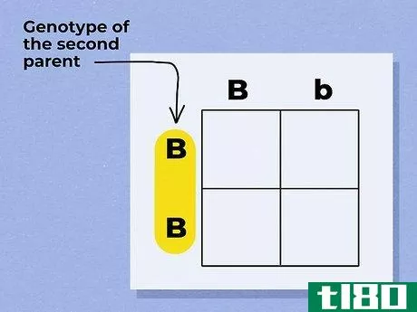 Image titled Use a Punnett Square to Do a Monohybrid Cross Step 4