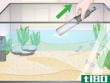 Image titled Use the Aqueon Water Changer Step 11