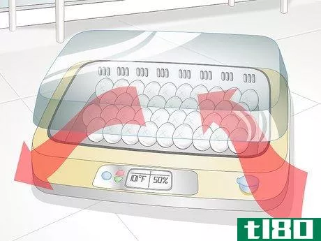Image titled Use an Incubator to Hatch Eggs Step 17