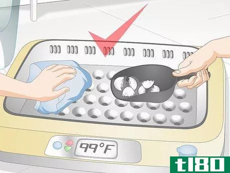 Image titled Use an Incubator to Hatch Eggs Step 27