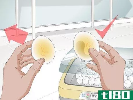 Image titled Use an Incubator to Hatch Eggs Step 21