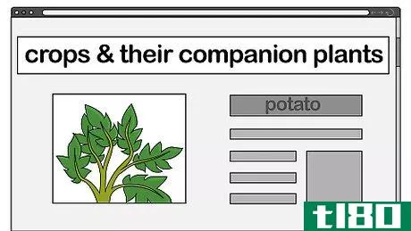 Image titled Companion Plant Step 2