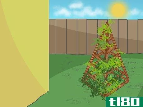 Image titled Build a Pyramid Trellis Step 9