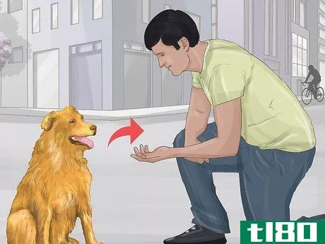 Image titled Recognize Fear in Dogs Step 15