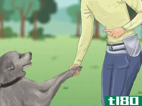Image titled Recognize Fear in Dogs Step 16