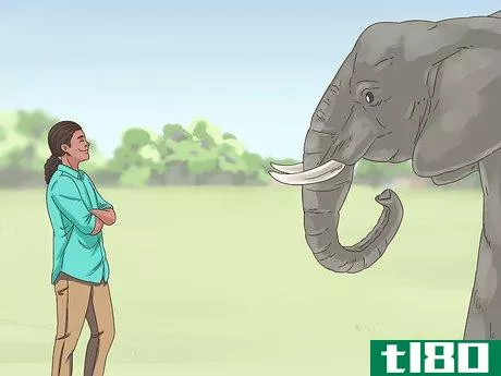 Image titled Survive a Charging Elephant Step 11