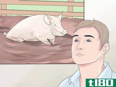 Image titled Raise Pigs Step 4