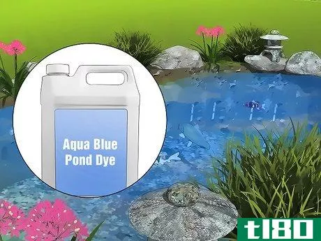 Image titled Remove Algae from a Pond Without Harming Fish Step 7
