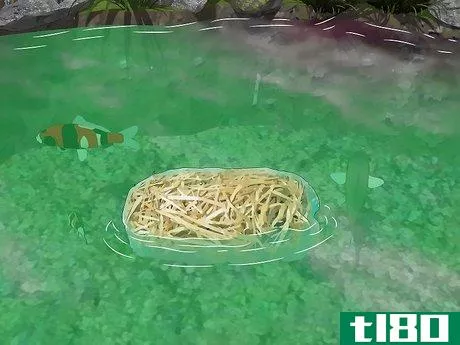 Image titled Remove Algae from a Pond Without Harming Fish Step 2