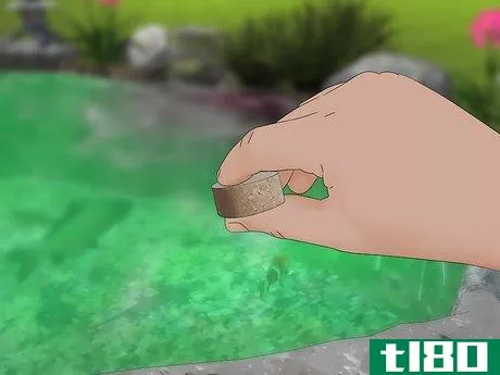 Image titled Remove Algae from a Pond Without Harming Fish Step 3