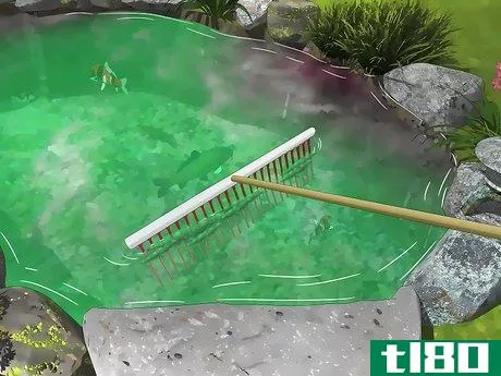 Image titled Remove Algae from a Pond Without Harming Fish Step 1