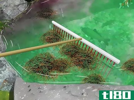 Image titled Remove Algae from a Pond Without Harming Fish Step 10