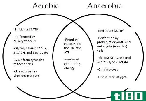 有氧的(aerobic)和无氧呼吸(anaerobic respiration)的相似点
