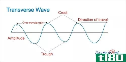 横向(transverse)和纵波(longitudinal wave)的相似点