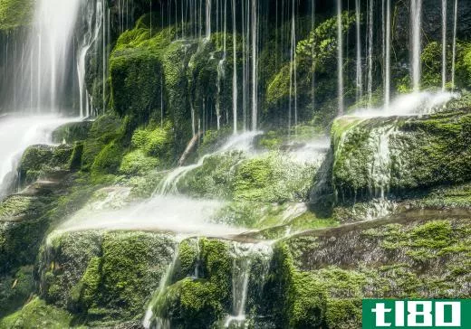 A waterfall on the island of Tasmania.
