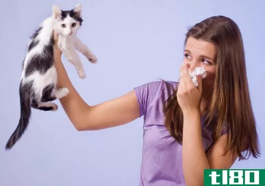 Dander in cat fur becoming airborne can be bothersome for people with allergies.